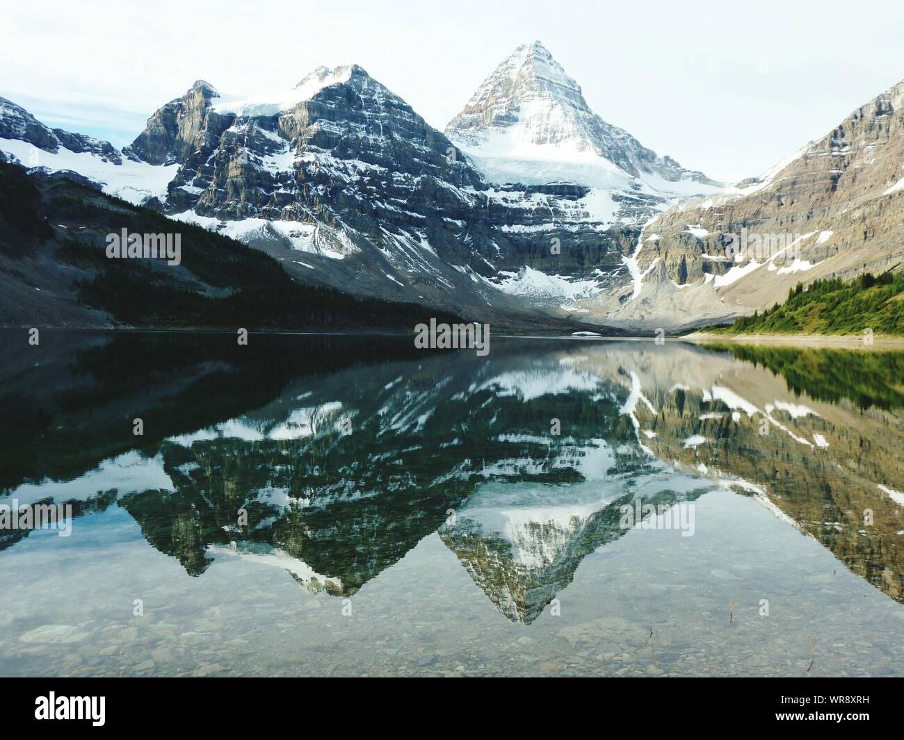 Idyllic Shot Of Snowcapped Mount Assiniboine Reflection In Lake Magog Stock Photo