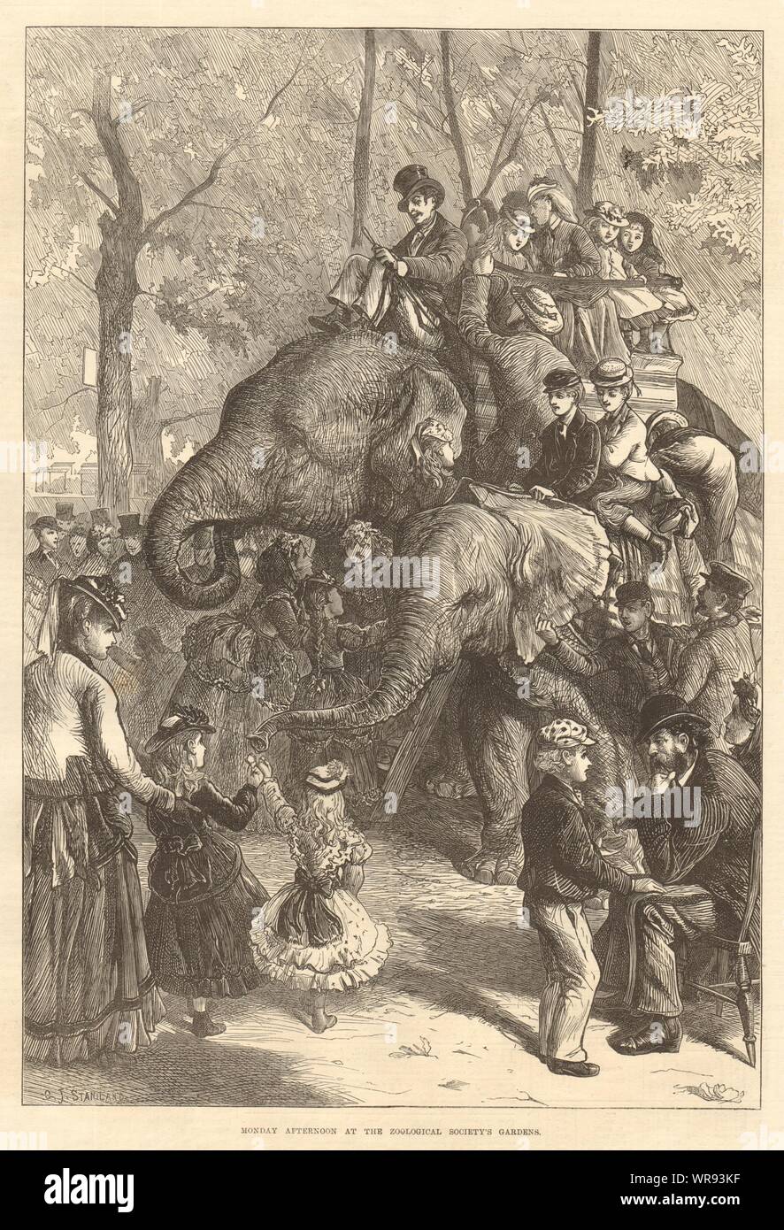 Monday afternoon at the Zoological Society's Gardens. London. Elephants 1871 Stock Photo