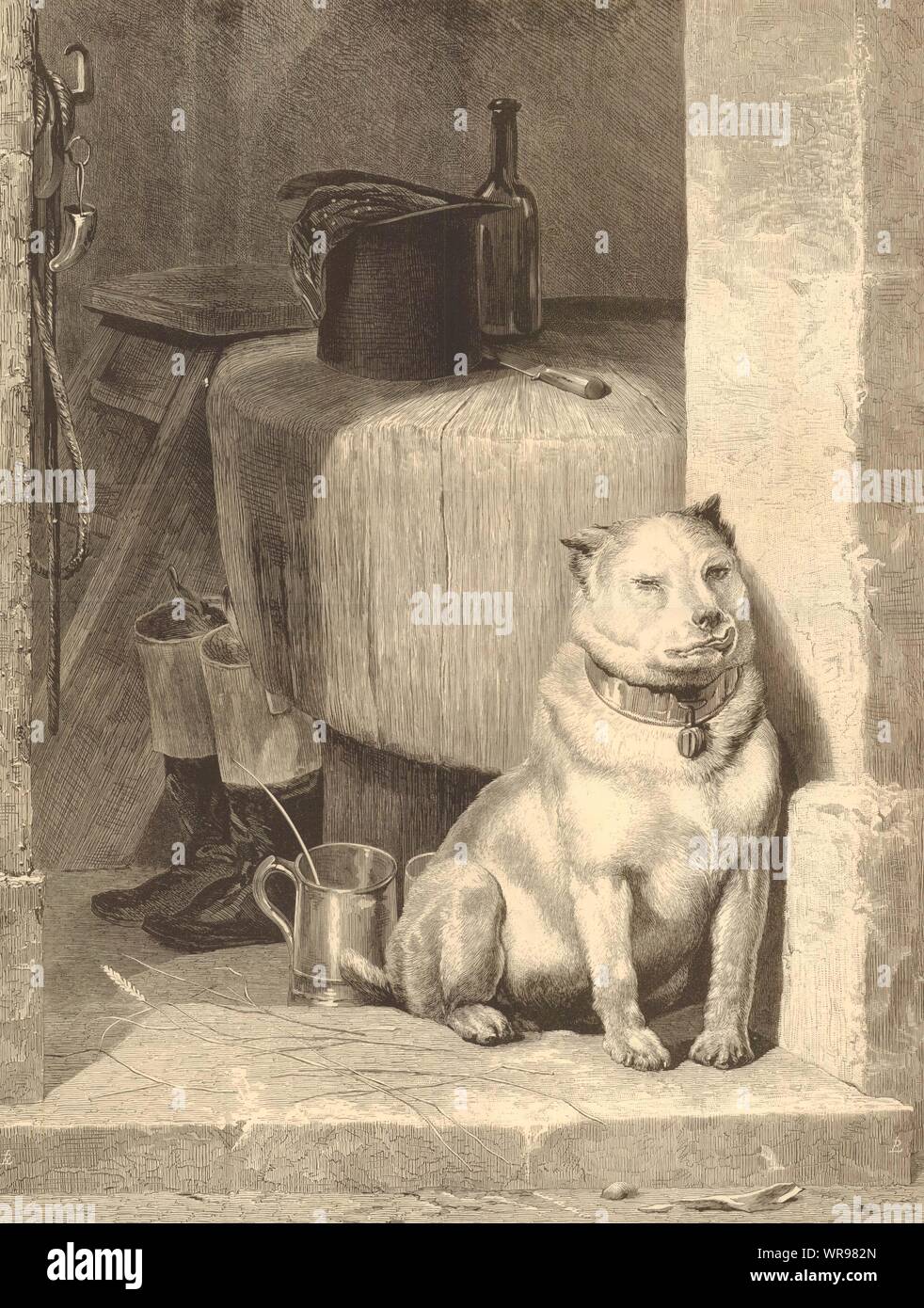 Low Life, by Sir Edwin Landseer. Dogs 1874 antique ILN full page print Stock Photo