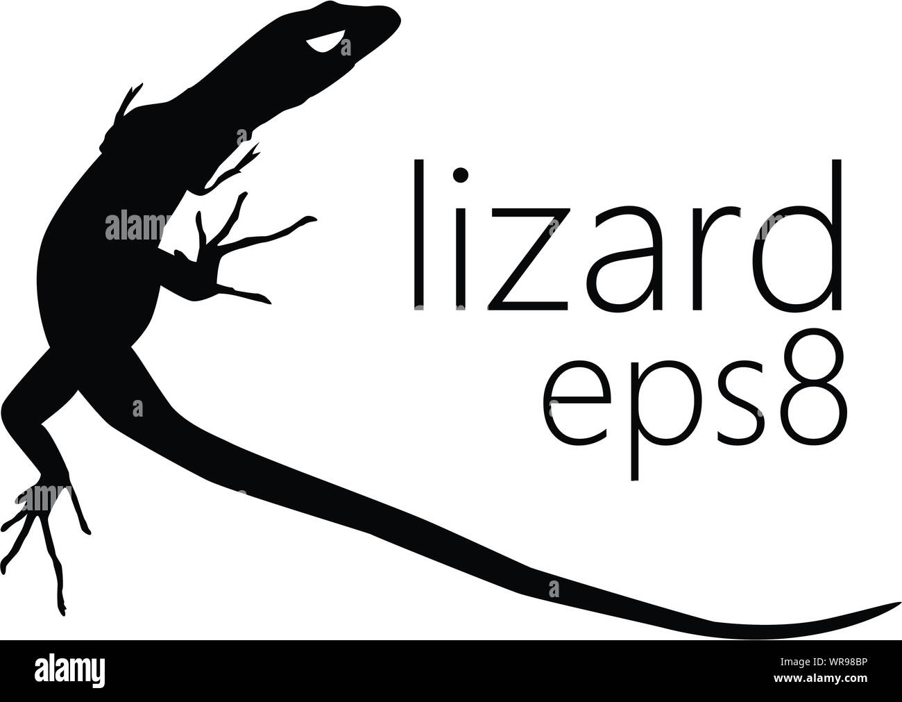 Black silhouette of Italian wall lizard or ruin lizard (Podarcis siculus), with long thin fingers and longer tail - top view. Vector shape, graphic re Stock Vector