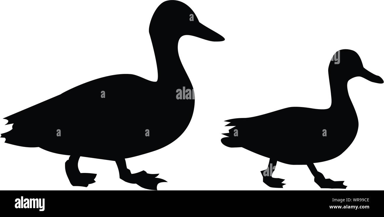 Black duck silhouettes from the side, in motion. Mallard dabbling ducks walking on the ground - slightly different outline vectors, graphic resources. Stock Vector