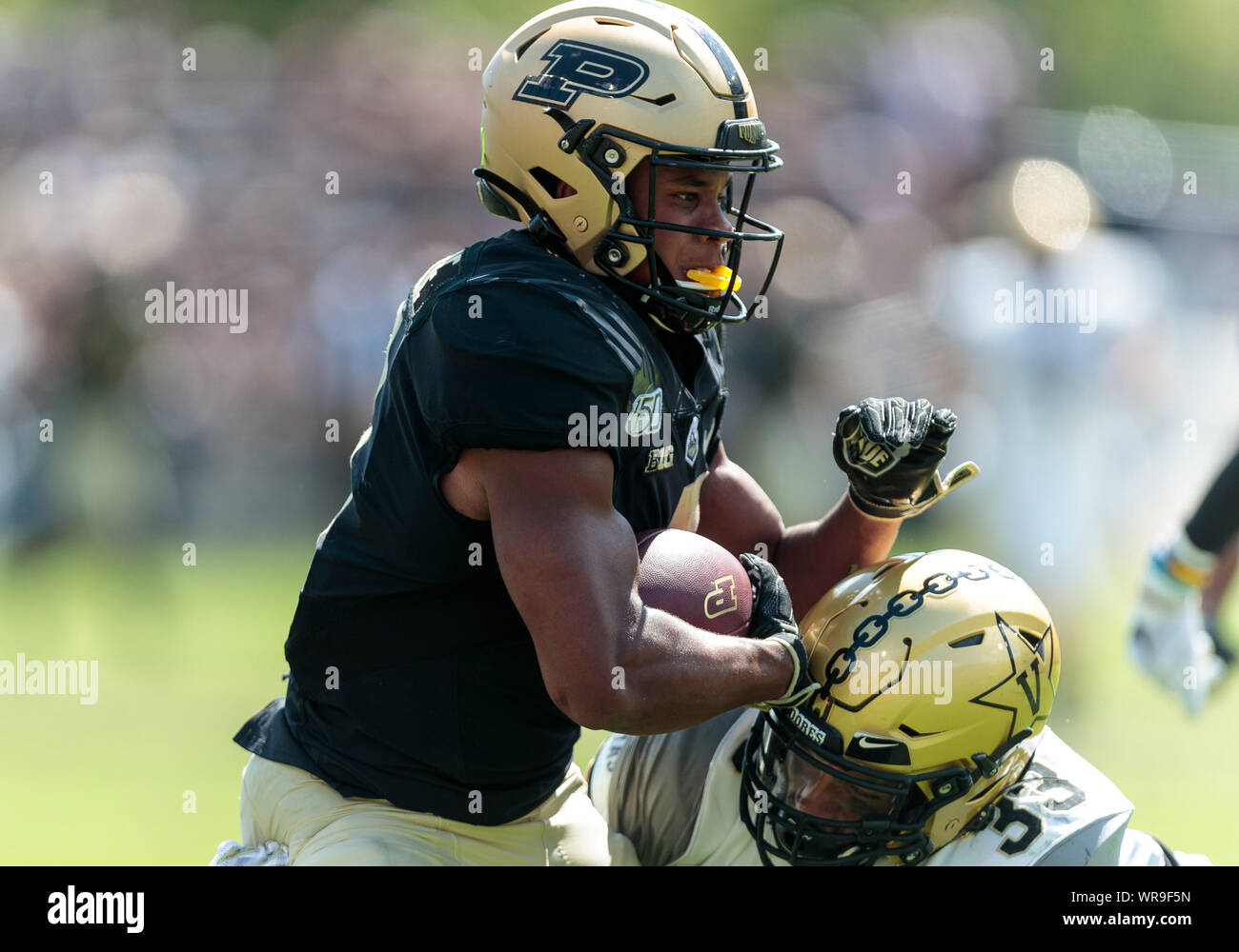 Jerkins Stock Photos Jerkins Stock Images Alamy