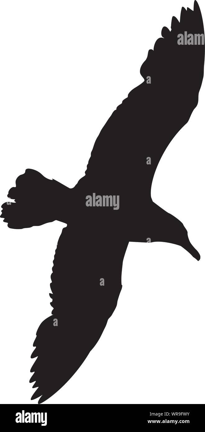 Silhouette of a single Seagull with wings spread wide open, soaring high above the sea. Stock Vector