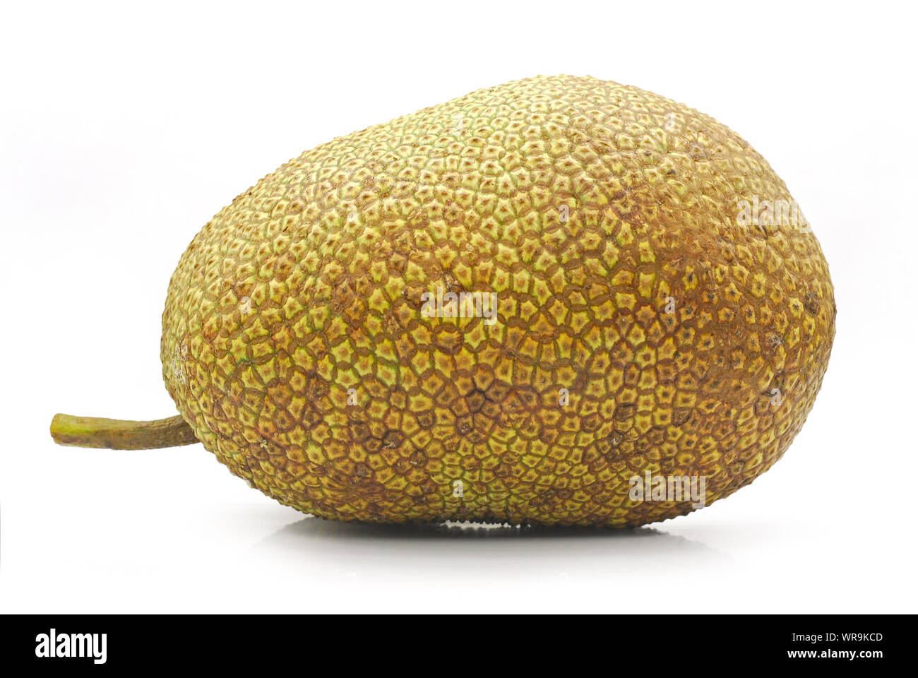 Fresh jackfruit cut out isolated on white background Stock Photo Alamy