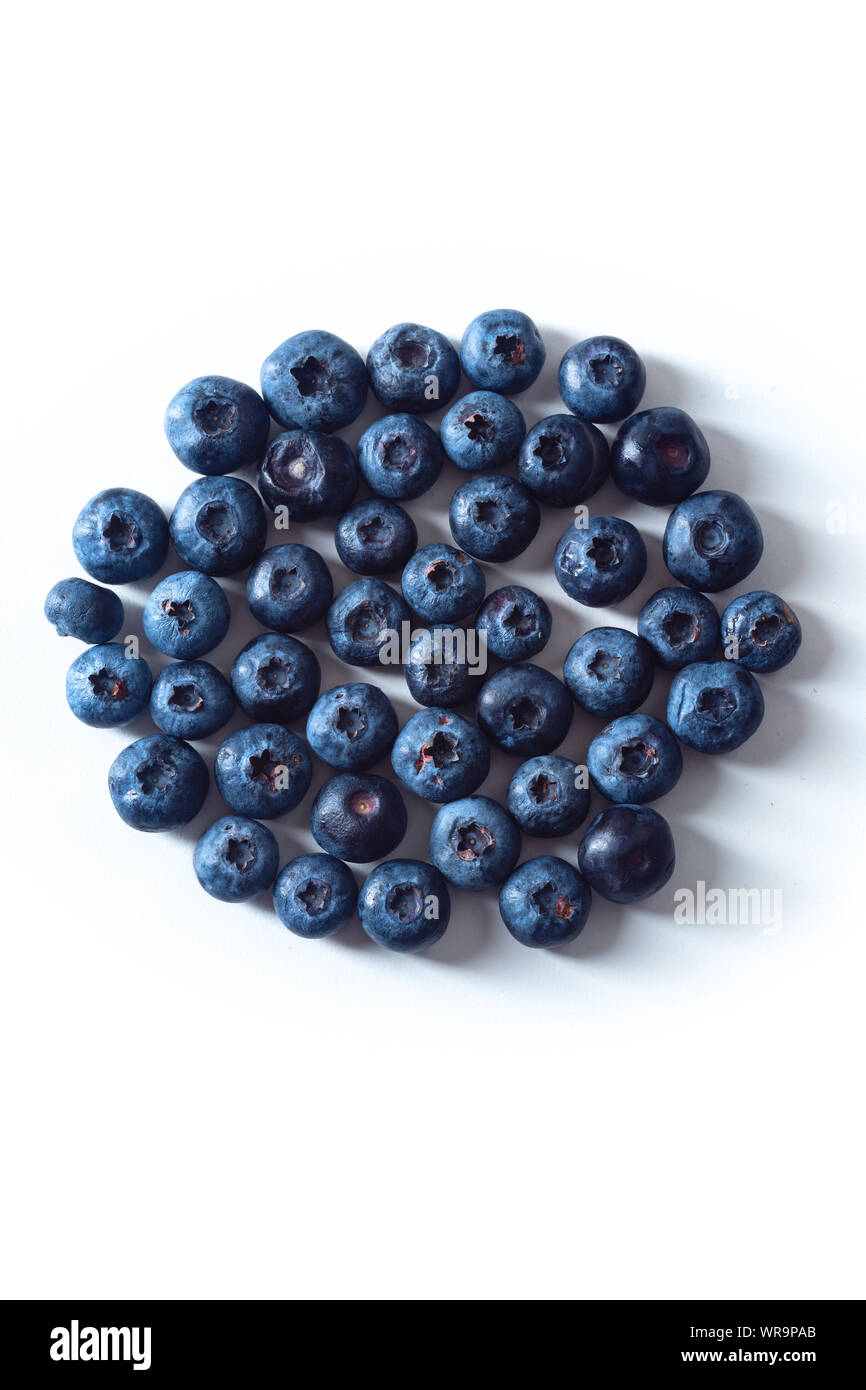 Fresh ripe blueberries isolated on white background in a circle shape. Creative flatlay Stock Photo
