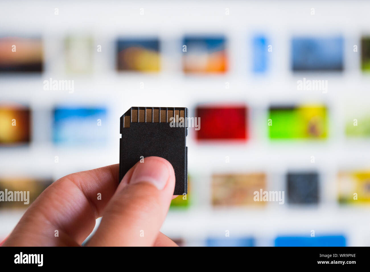 Image gallery hi-res stock photography and images - Alamy