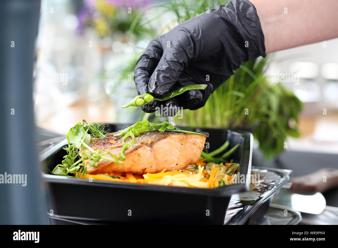 Box diet. Appetizing lunch boxes. Food delivered to your doorstep Stock