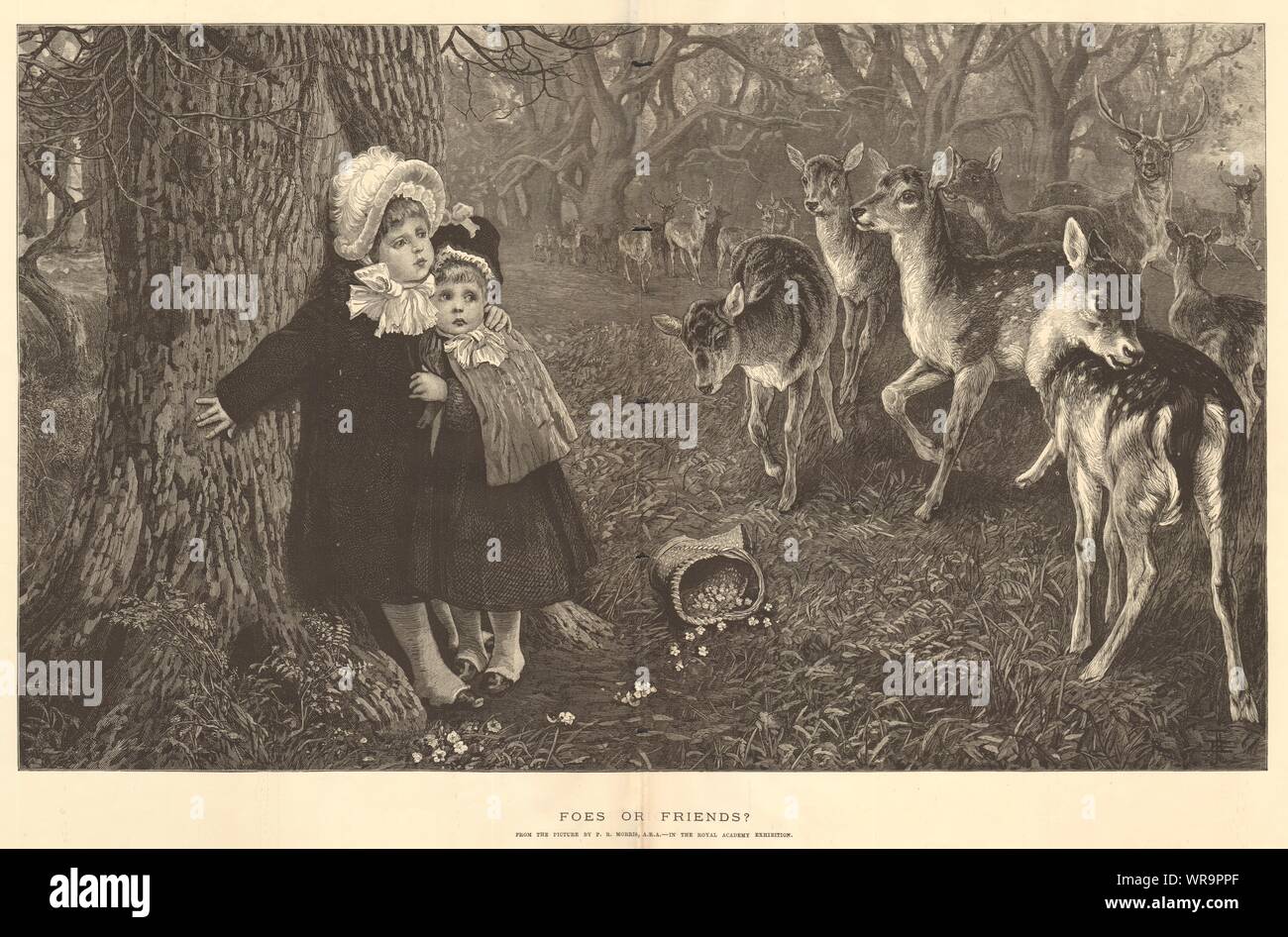 or friends? by P. R. Morris, A. R. A. Children. Deer 1883 ILN full page Stock Photo - Alamy