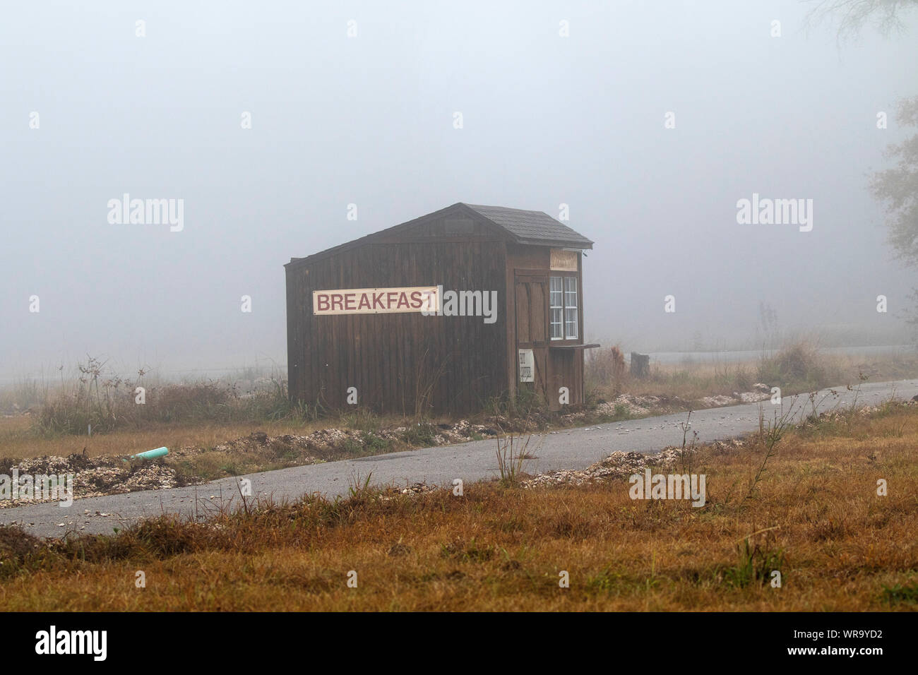 Bloomin Onion Breakfast Shack In The Mist Beside A Motel In