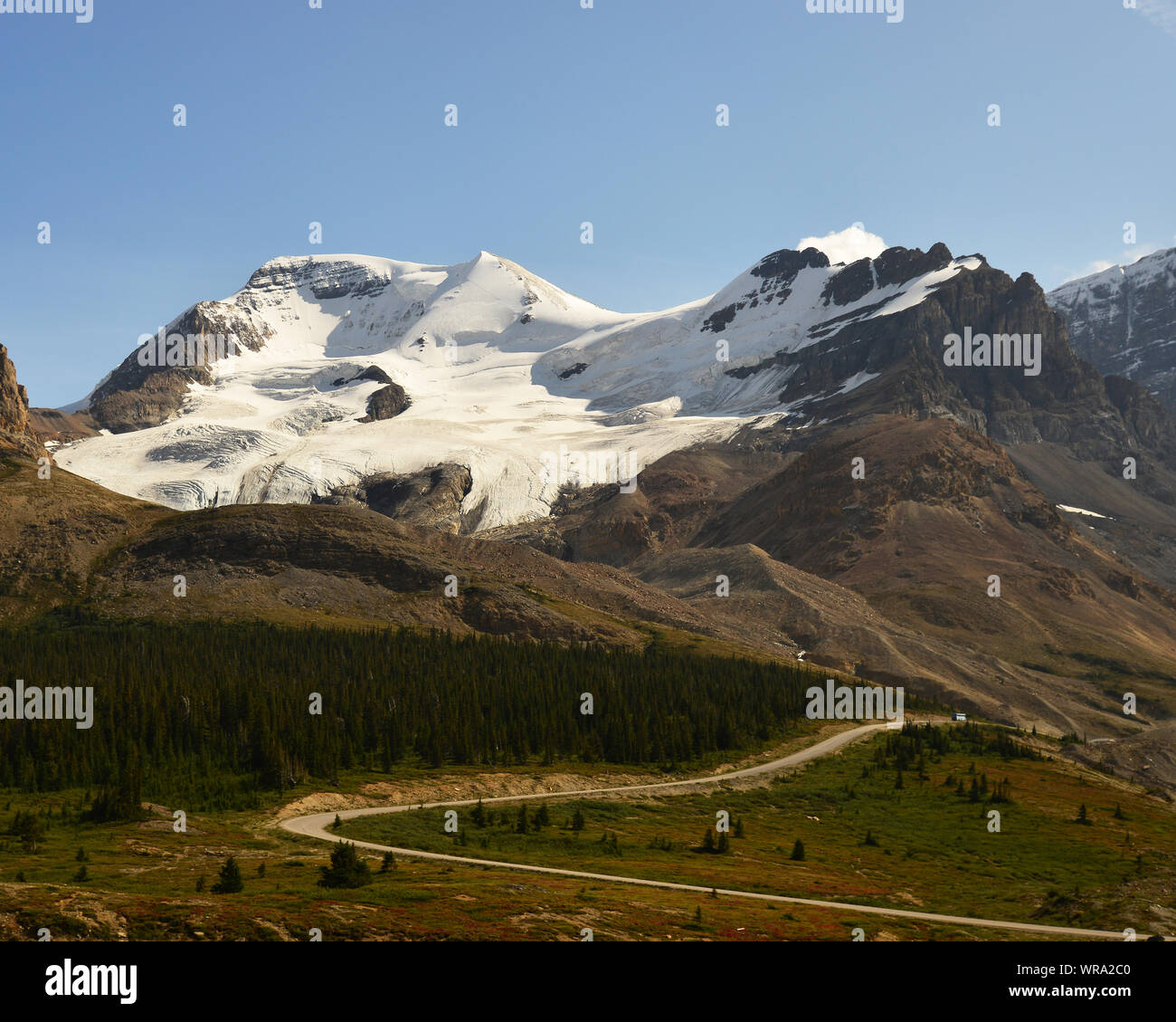 My Image 16