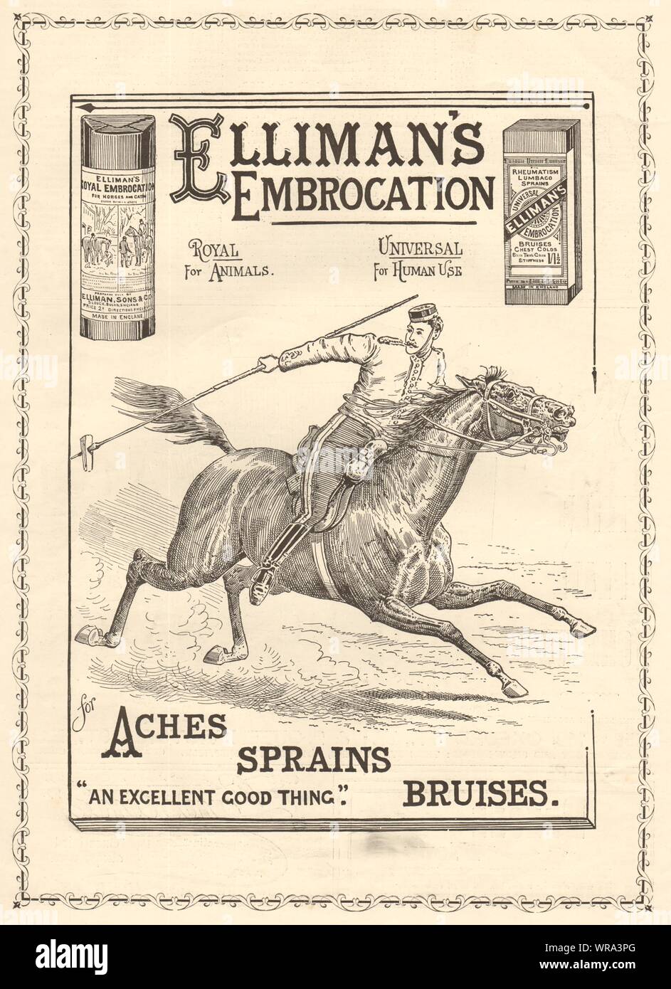 Elliman's embrocation. Aches Sprains Bruises. ADVERT. Lancer. Horse