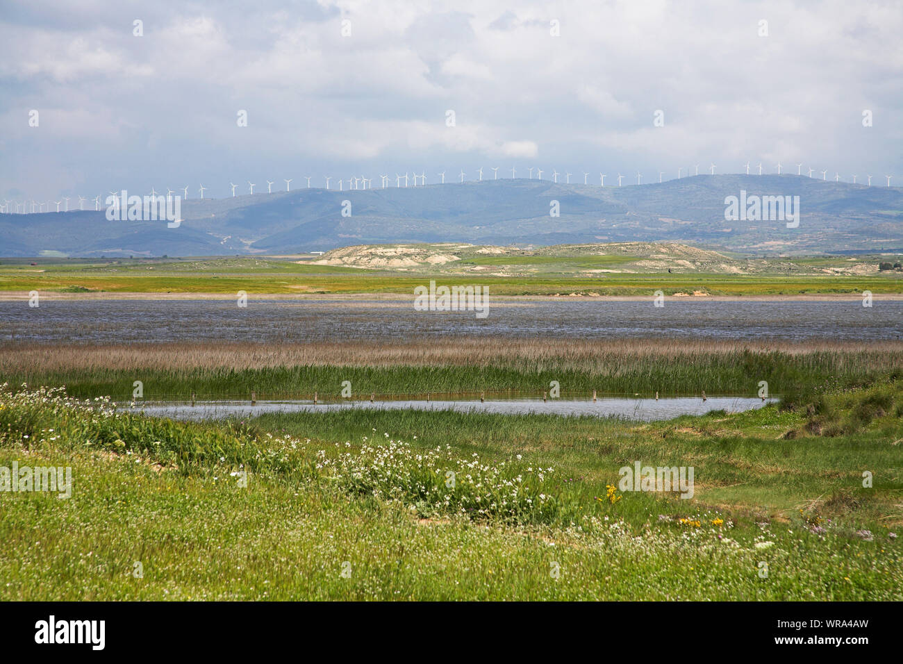 Pitillas Lagoon Navarra Region Spain Stock Photo