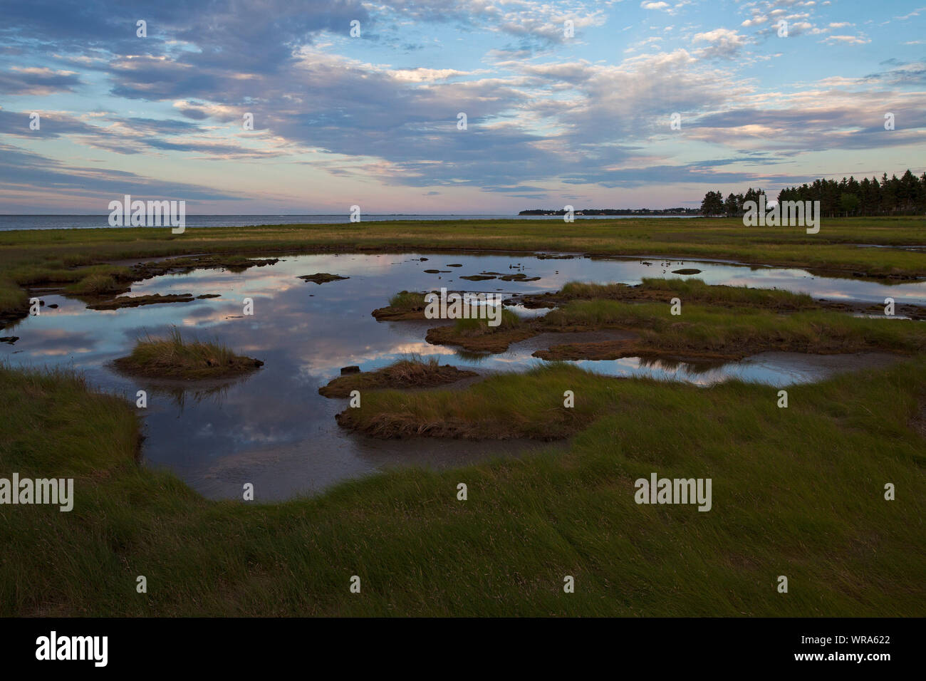 Saint edouard de kent hires stock photography and images Alamy