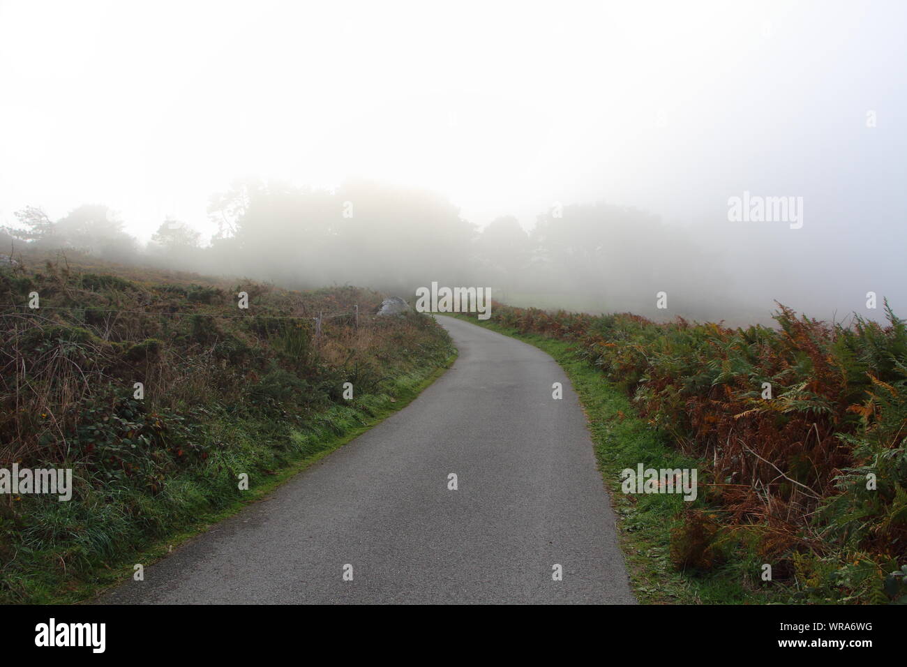 Road in the fog during autumn in the countryside Stock Photo - Alamy
