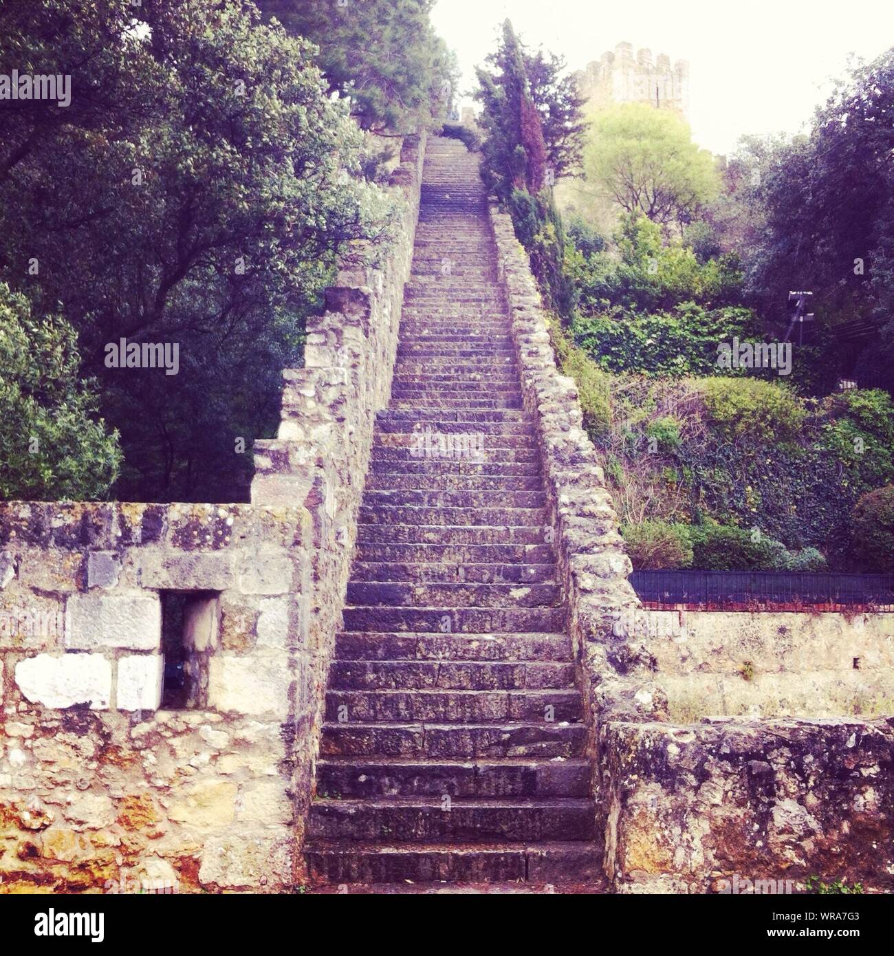 Steps Hillside High Resolution Stock Photography and Images - Alamy