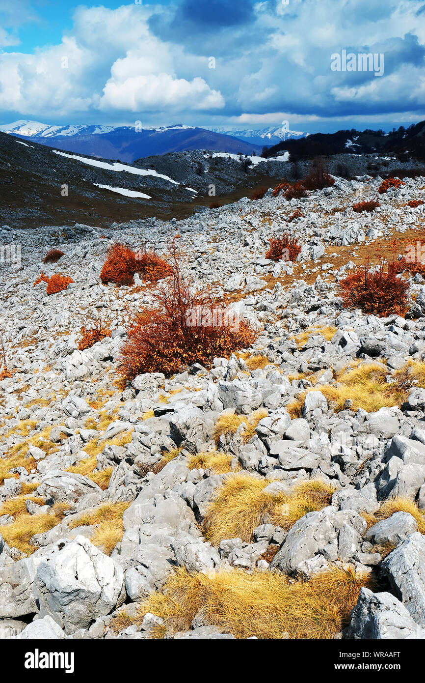 Brown Grass On Rocky Field With Carpathians Mountains In Background Stock Photo