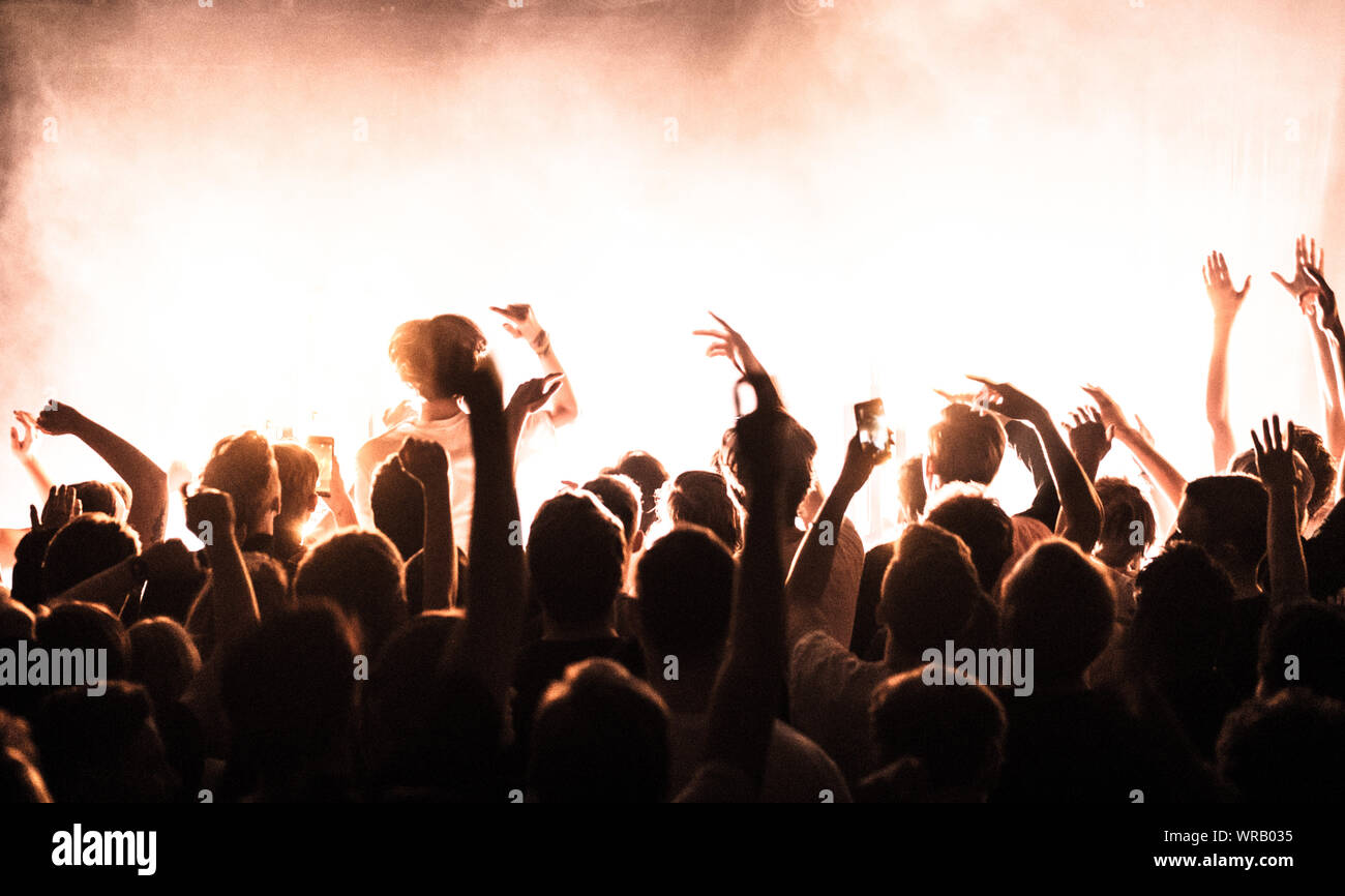 Party people are putting hands in the air at a music venue Stock Photo -  Alamy