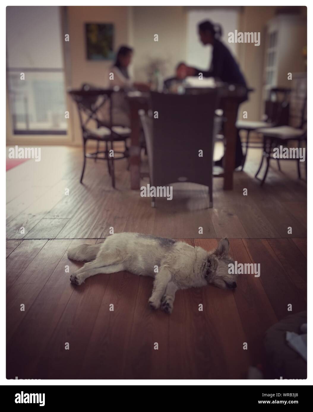 Resting room sleeping Cut Out Stock Images & Pictures Alamy