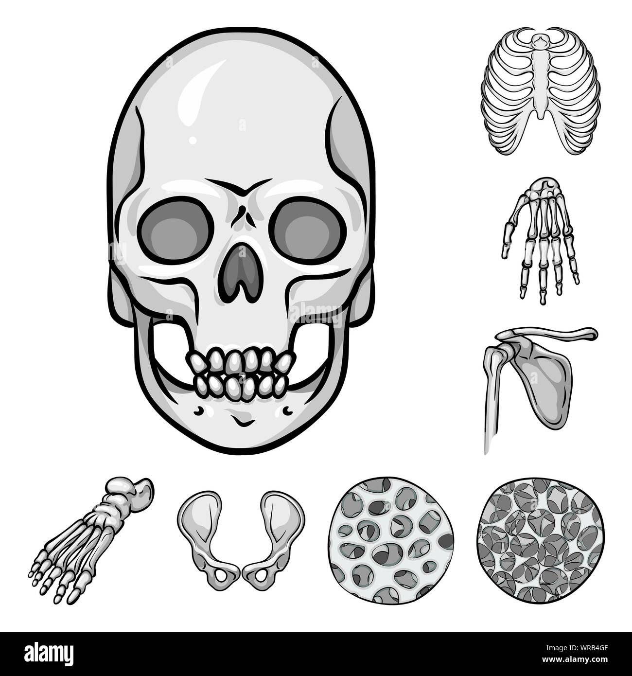 Vector Vectors Stock Vector Image & Art - Alamy