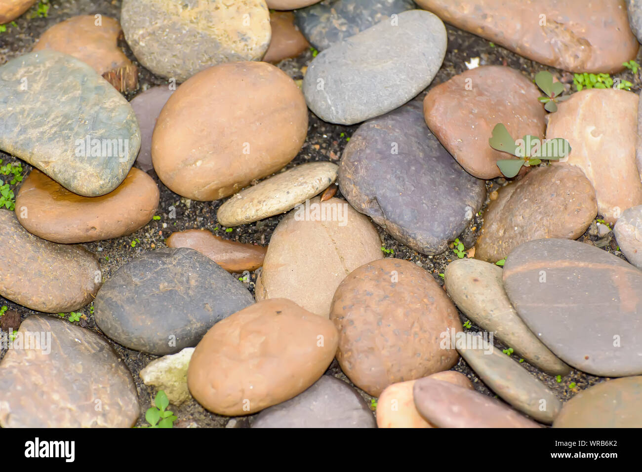 Multiple Stone Used To Decorate The Garden Japanese Style Stock