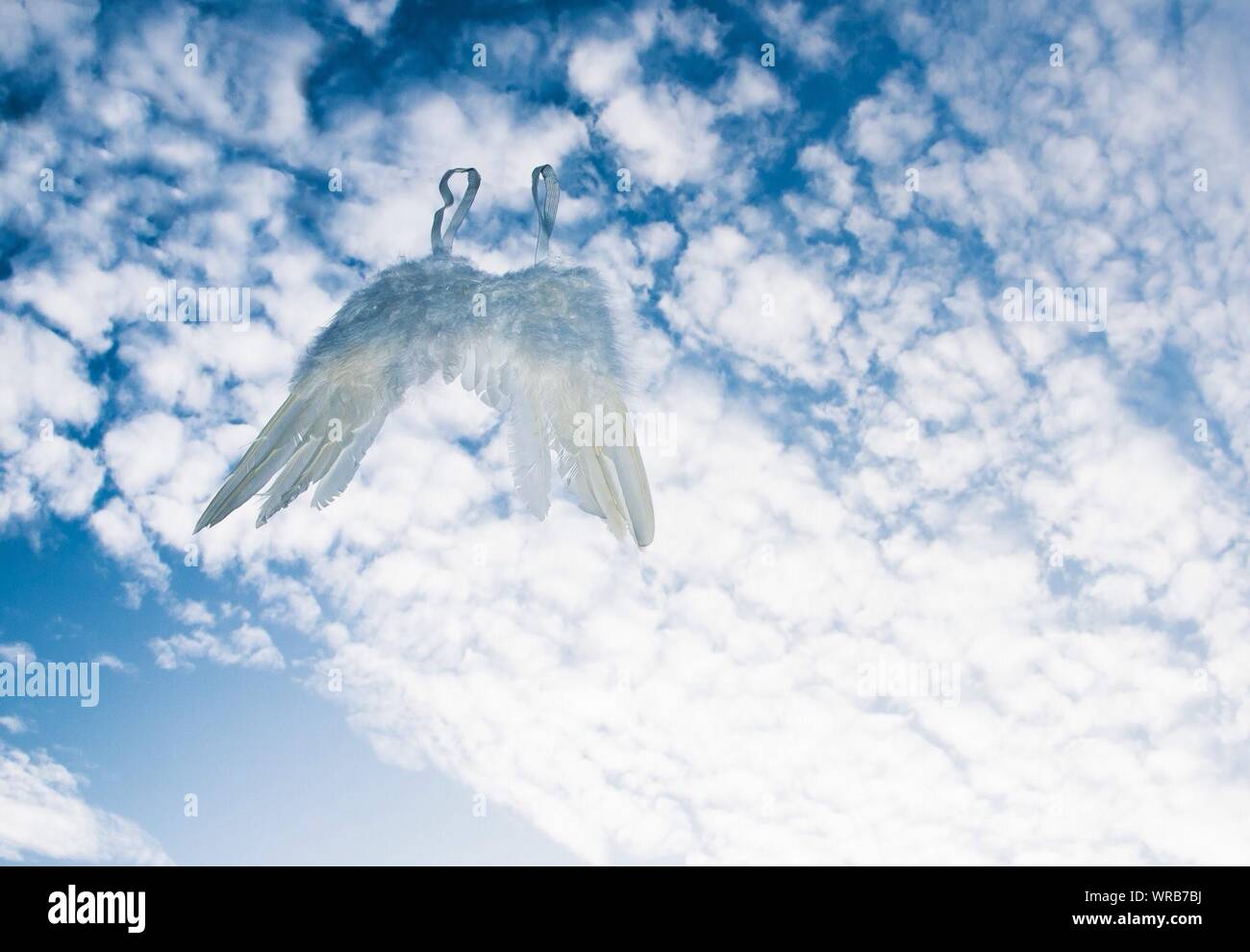 Defunct Angels Angel sky wing hi-res stock photography and images - Alamy