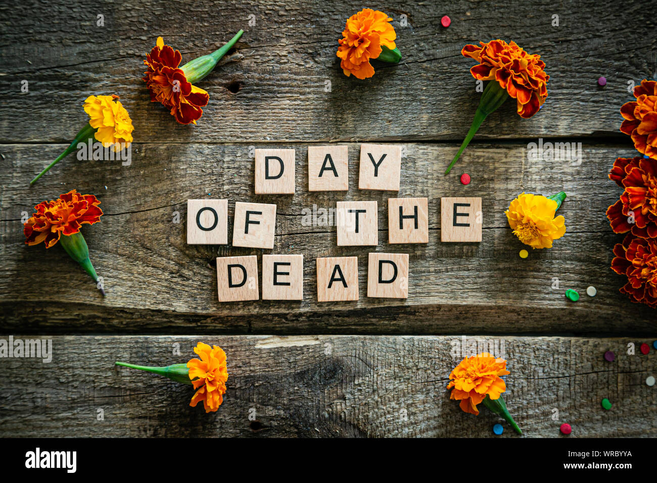 Day of the dead concept dia de los muertos - skull shapes cookie with marigold flowers Stock Photo