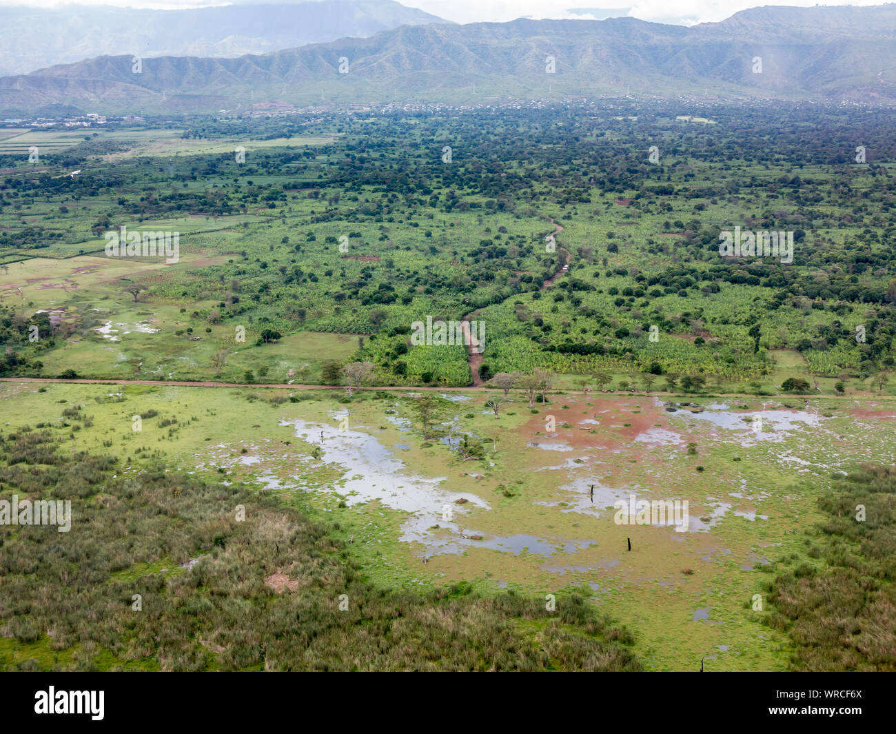 Aerial view of banana plantations and forest in the rift valley near Arba Minch, Ethiopia. Stock Photo