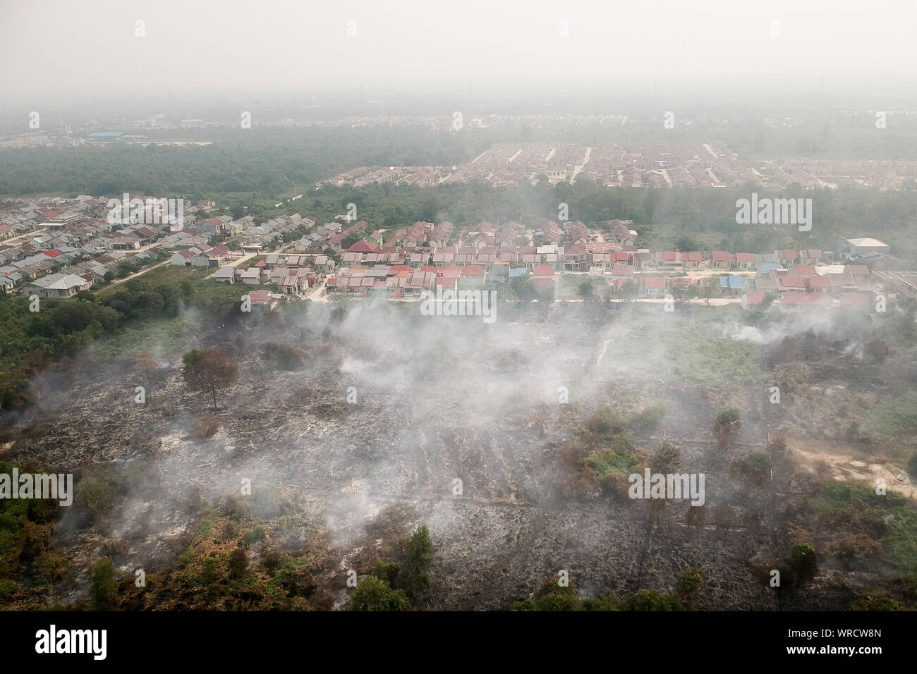 September 4, 2019: RIAU, INDONESIA - SEPTEMBER 10, 2019: Peatlands are seen burning near residential areas in Riau, Indonesia on September 10, 2019. Huge fires are raging across vast swathes of Indonesia's rainforests, some of the world's biggest with toxic smog shutting hundreds of schools in Southeast Asia, officials said. (Credit Image: © Dedy Sutisna/ZUMA Wire) Stock Photo