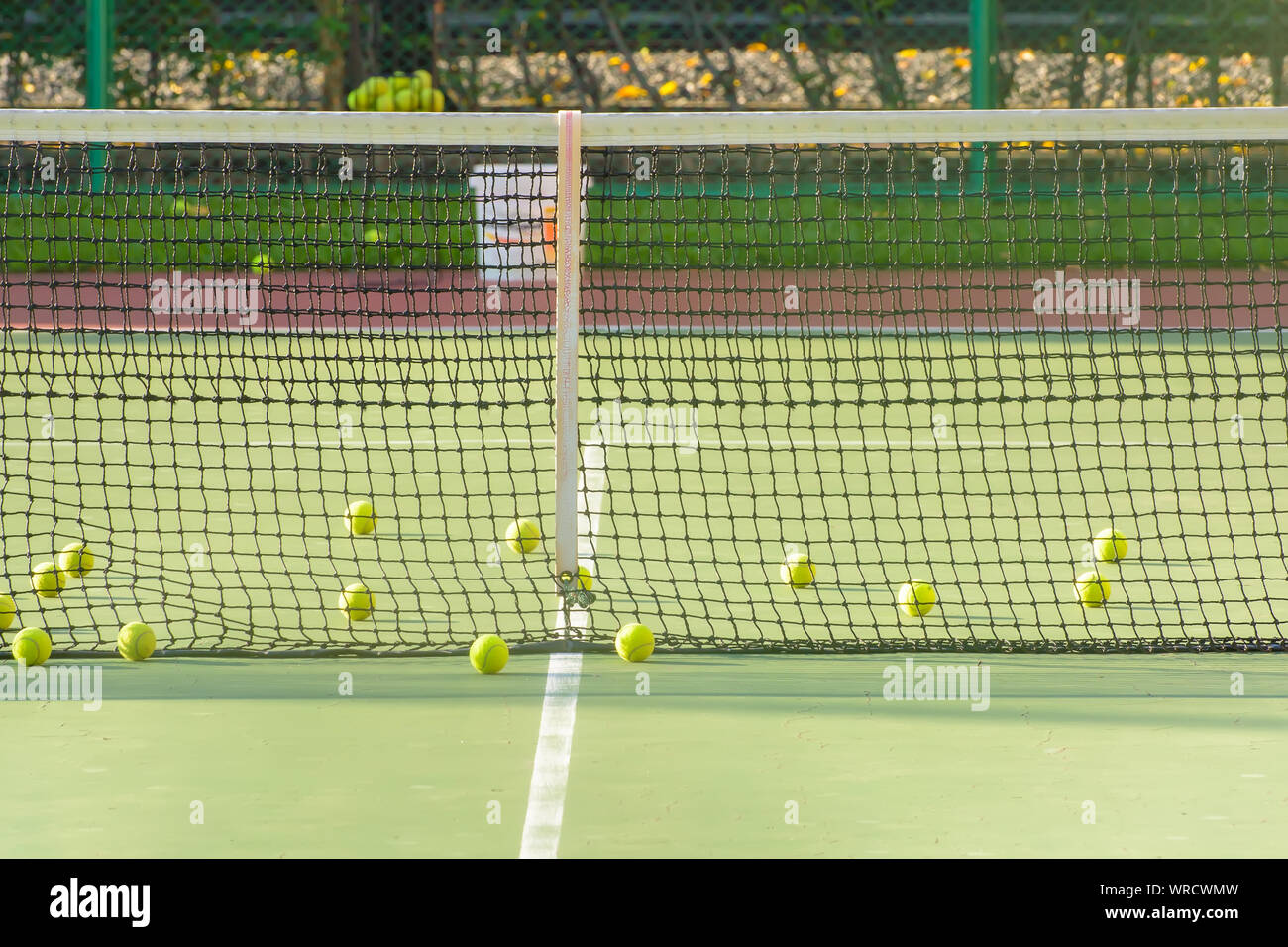 Green tennis balls are in a tennis court Stock Photo Alamy
