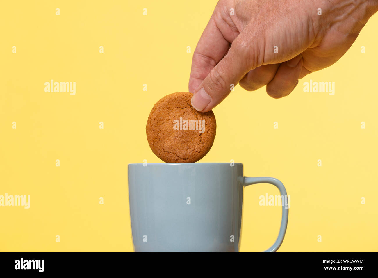 Dunking a biscuit in a mug of tea. Stock Photo