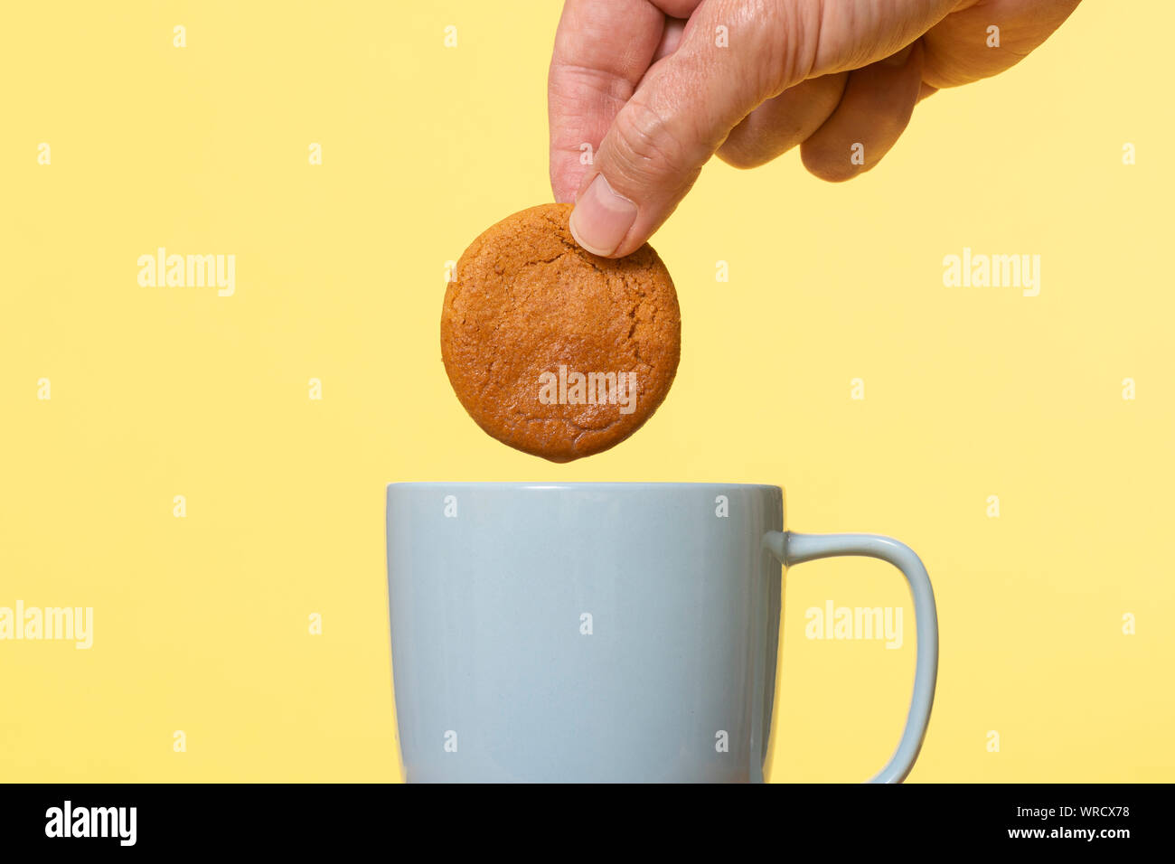 Dunking a biscuit in a mug of tea Stock Photo Alamy