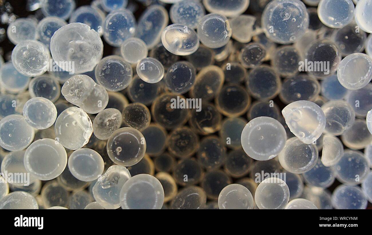 Abundance of silica hi-res stock photography and images - Alamy