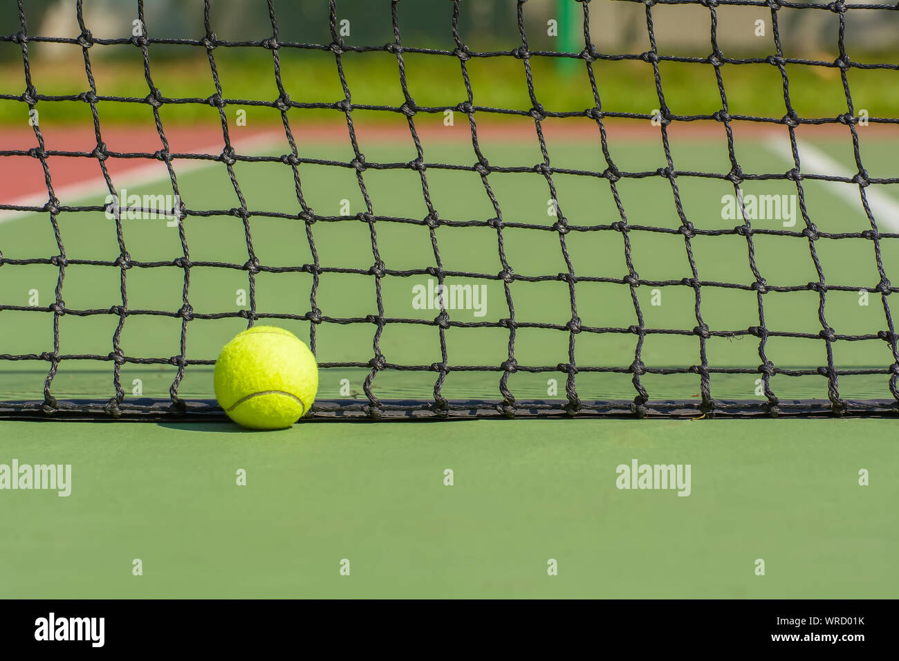 Green tennis balls are in a tennis court Stock Photo Alamy