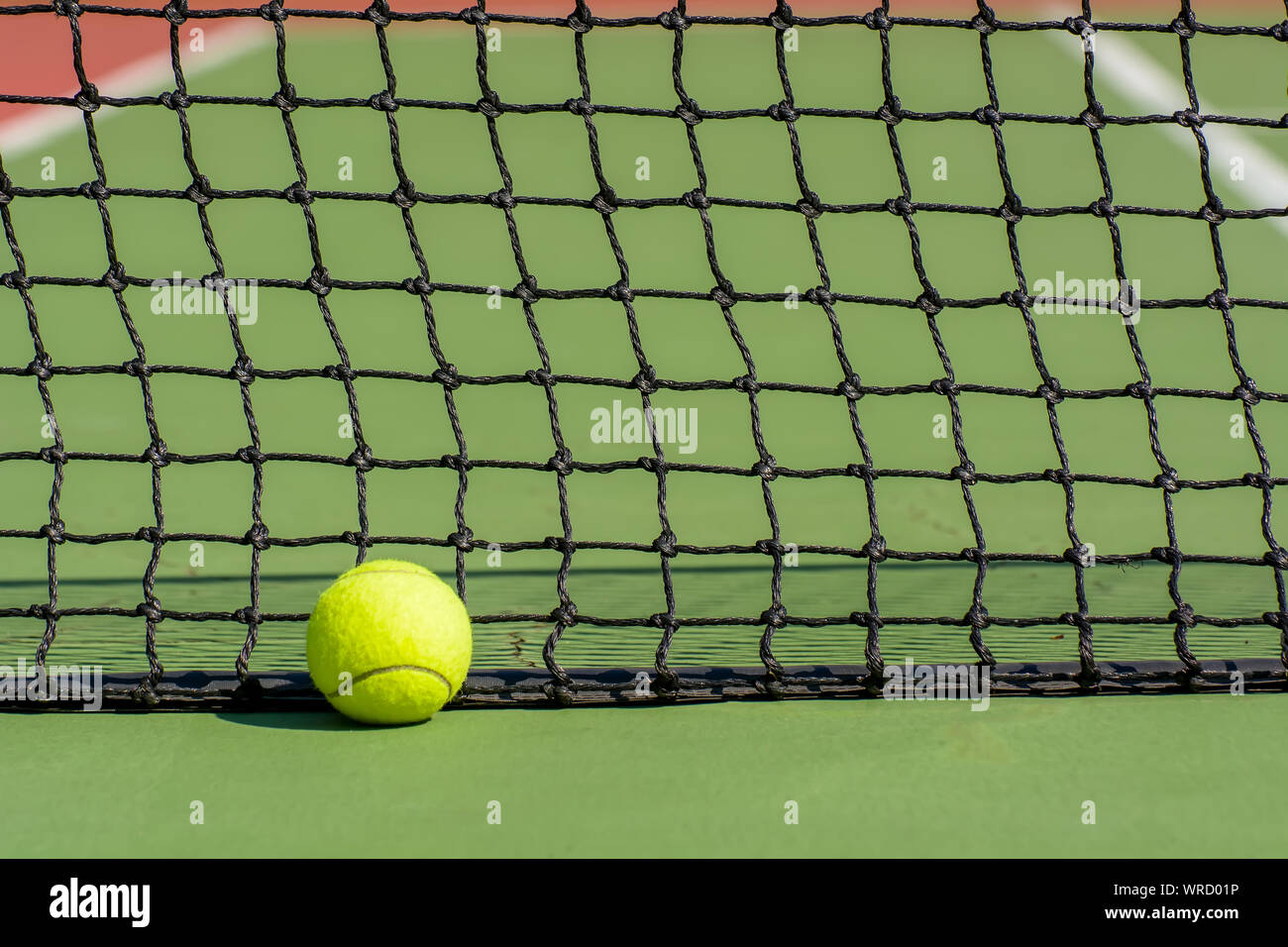 Green tennis balls are in a tennis court Stock Photo Alamy