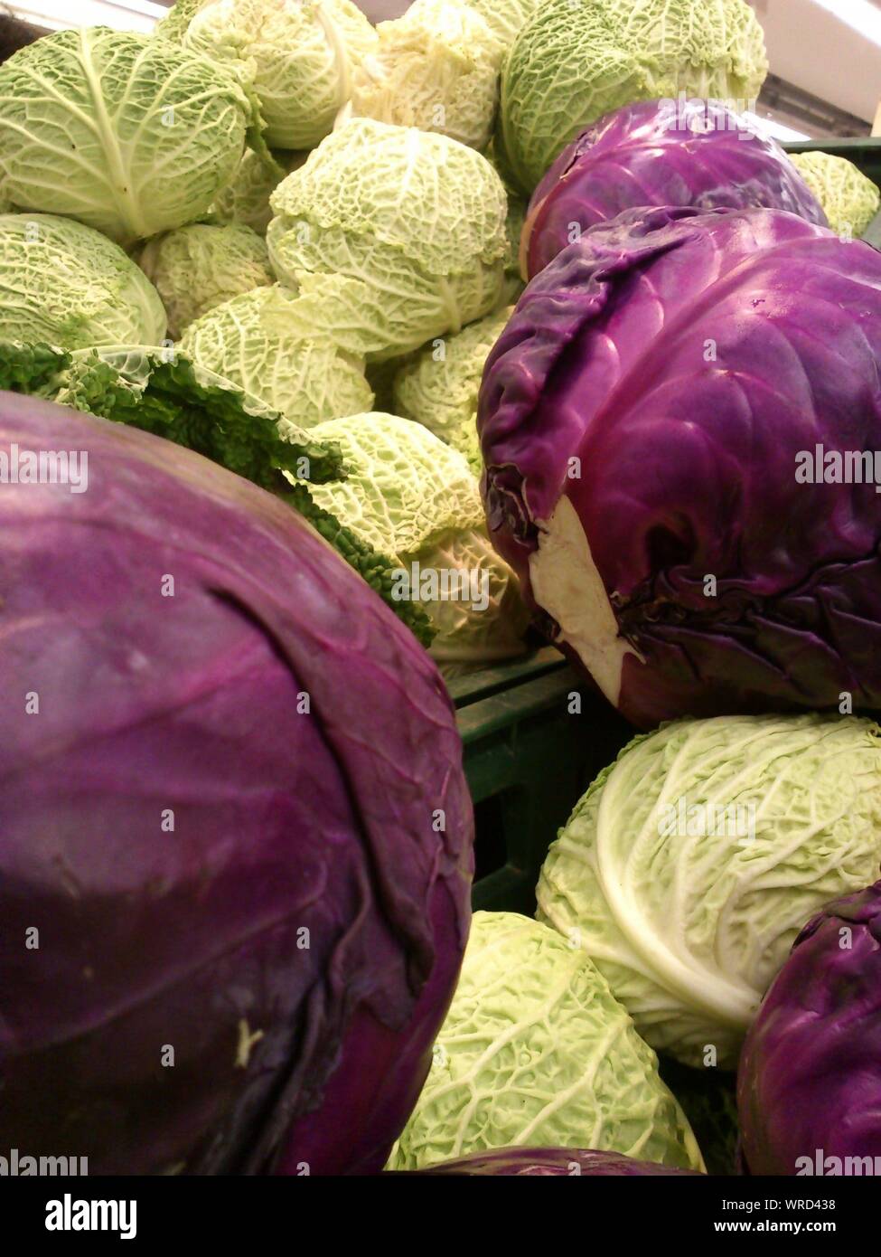 Cabbage sale hires stock photography and images Alamy