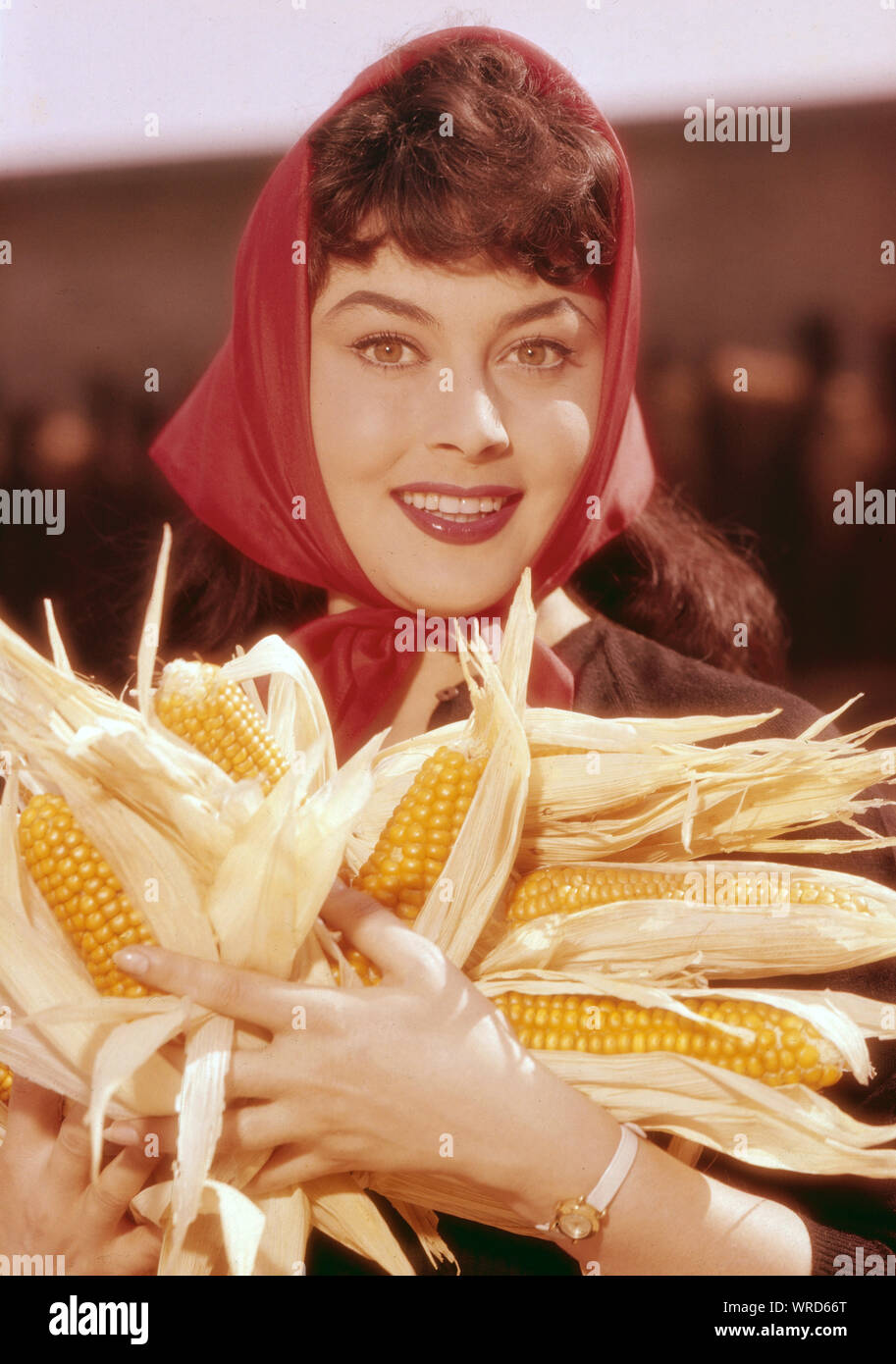 Goblinlar haqida porno film