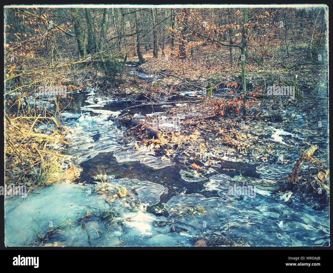 Frozen lake forest hi-res stock photography and images - Alamy
