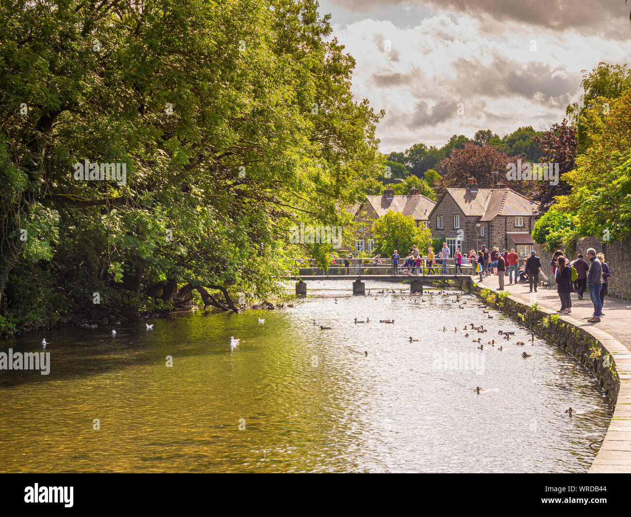 River Wye in Bakewell, a market town and civil parish in the Derbyshire Dales district of Derbyshire, UK. Stock Photo