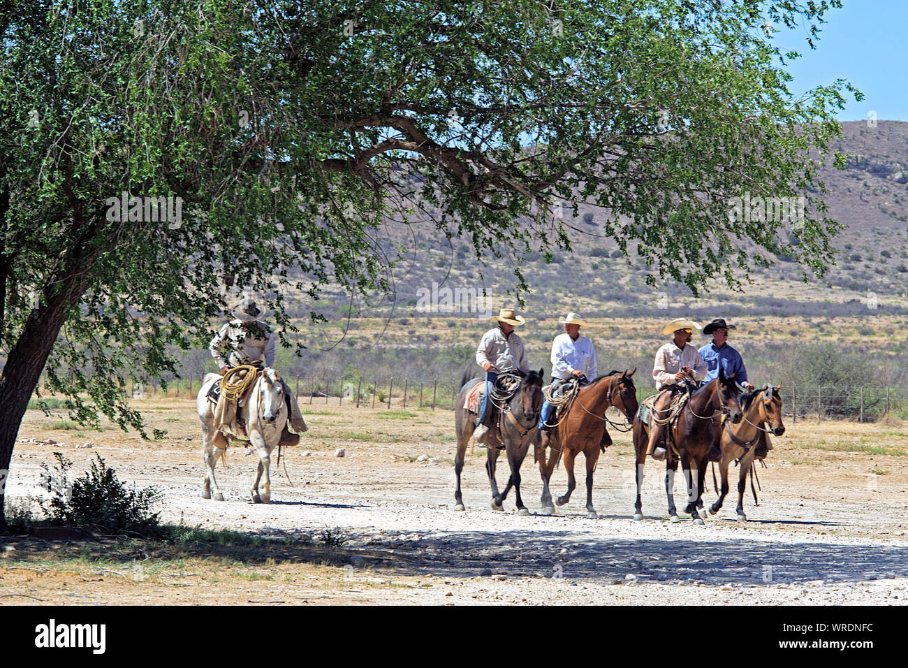 Ranch hands coming back to a West Texas headquarters after at the en of a workday. Stock Photo
