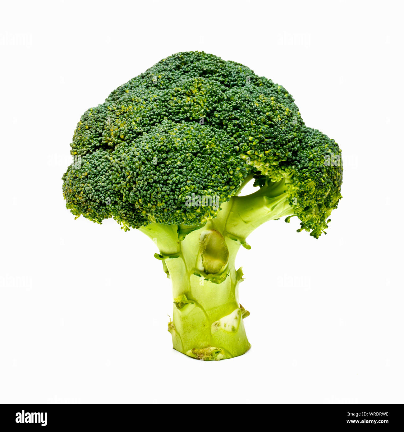 Broccoli stalk on a white background Stock Photo - Alamy