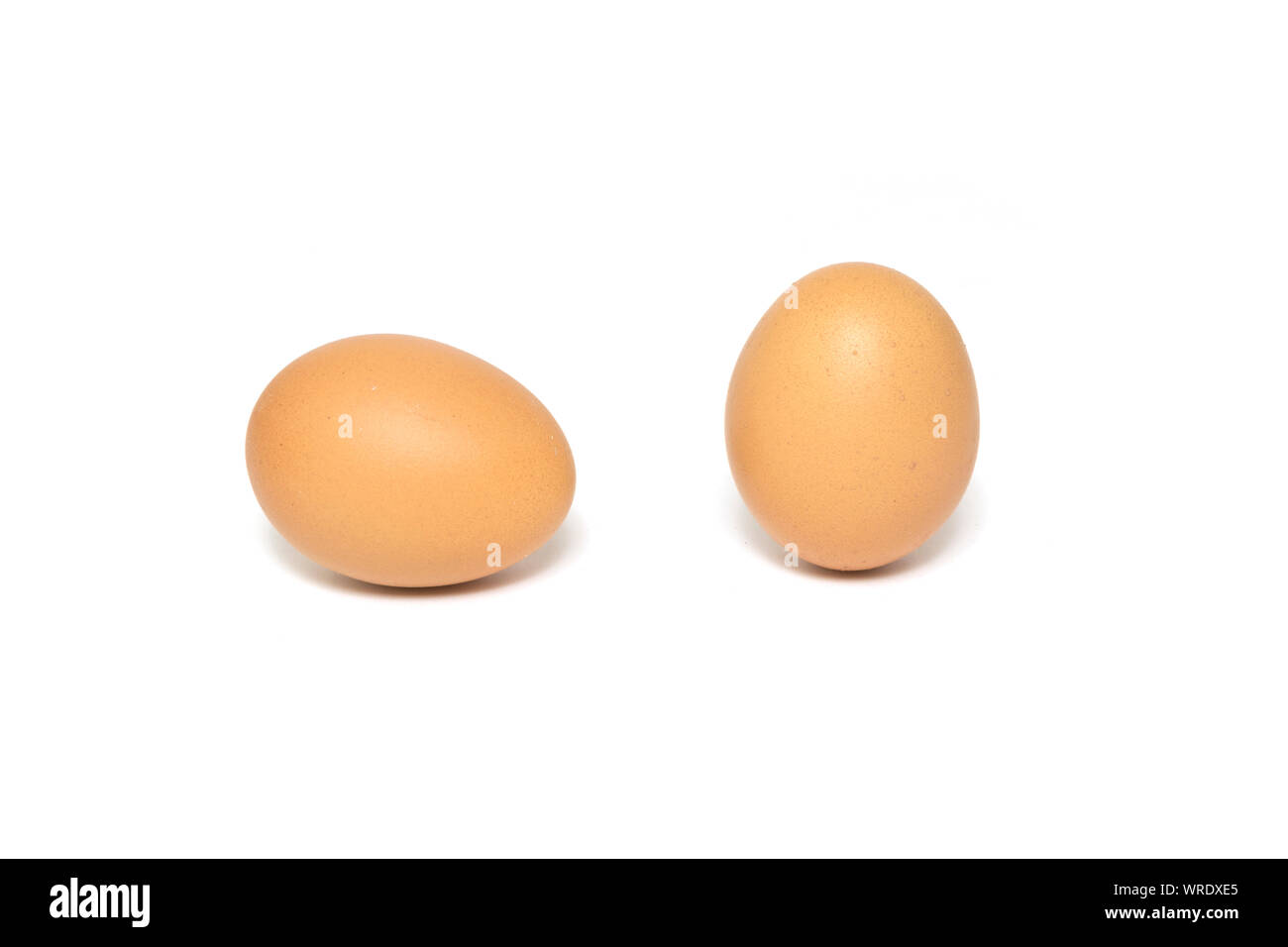 Fresh chicken eggs isolated on white background Stock Photo - Alamy