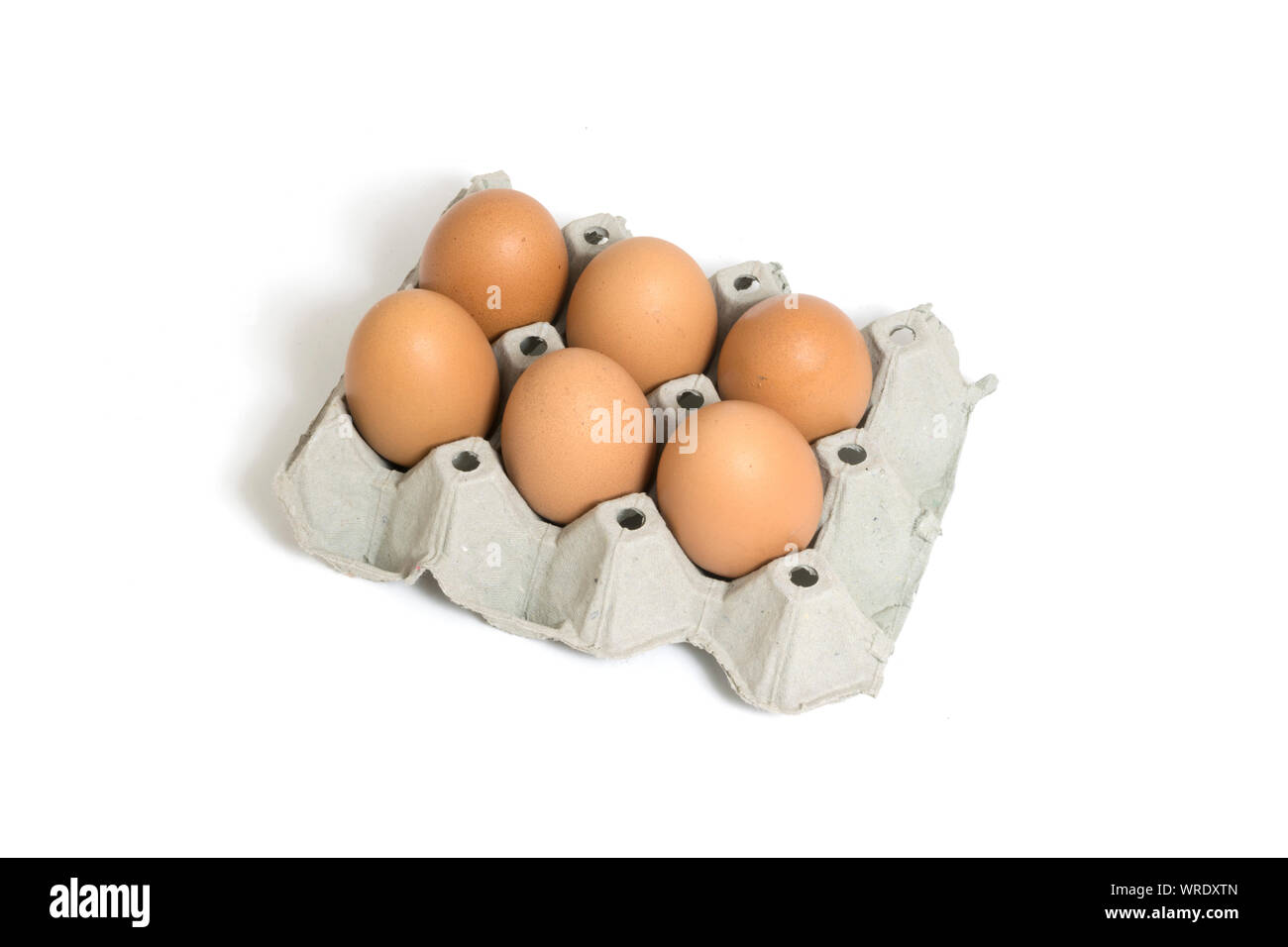 Six chicken eggs in egg box isolated on white background. Stock Photo