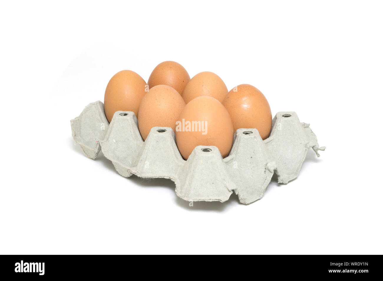Six chicken eggs in egg box isolated on white background. Stock Photo