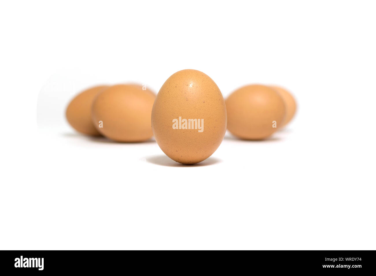 Fresh chicken eggs isolated on white background Stock Photo - Alamy
