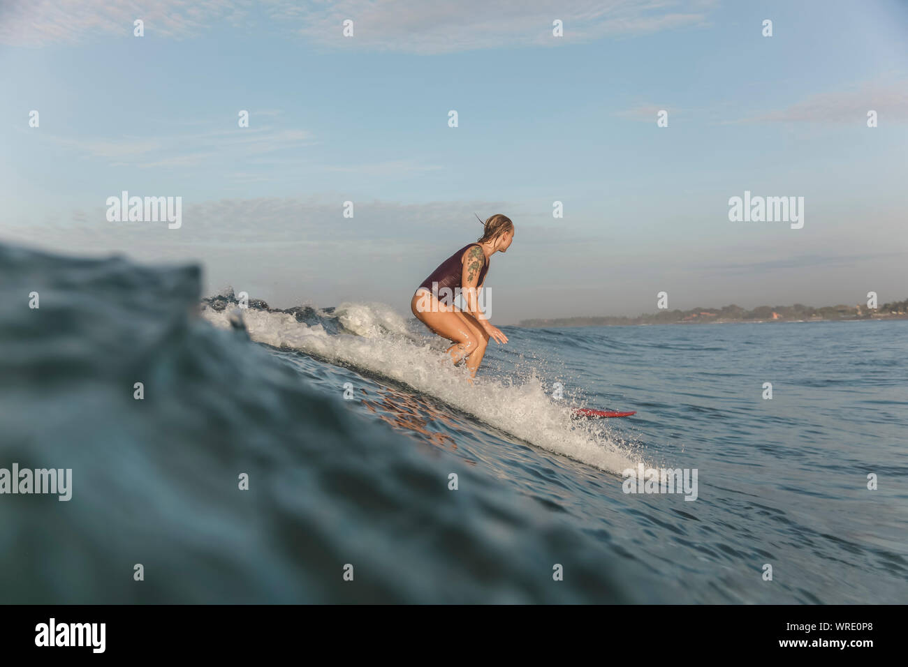 Young woman surfing at sunrise Stock Photo