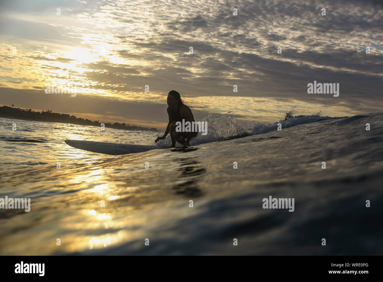 Young woman surfing at sunrise Stock Photo
