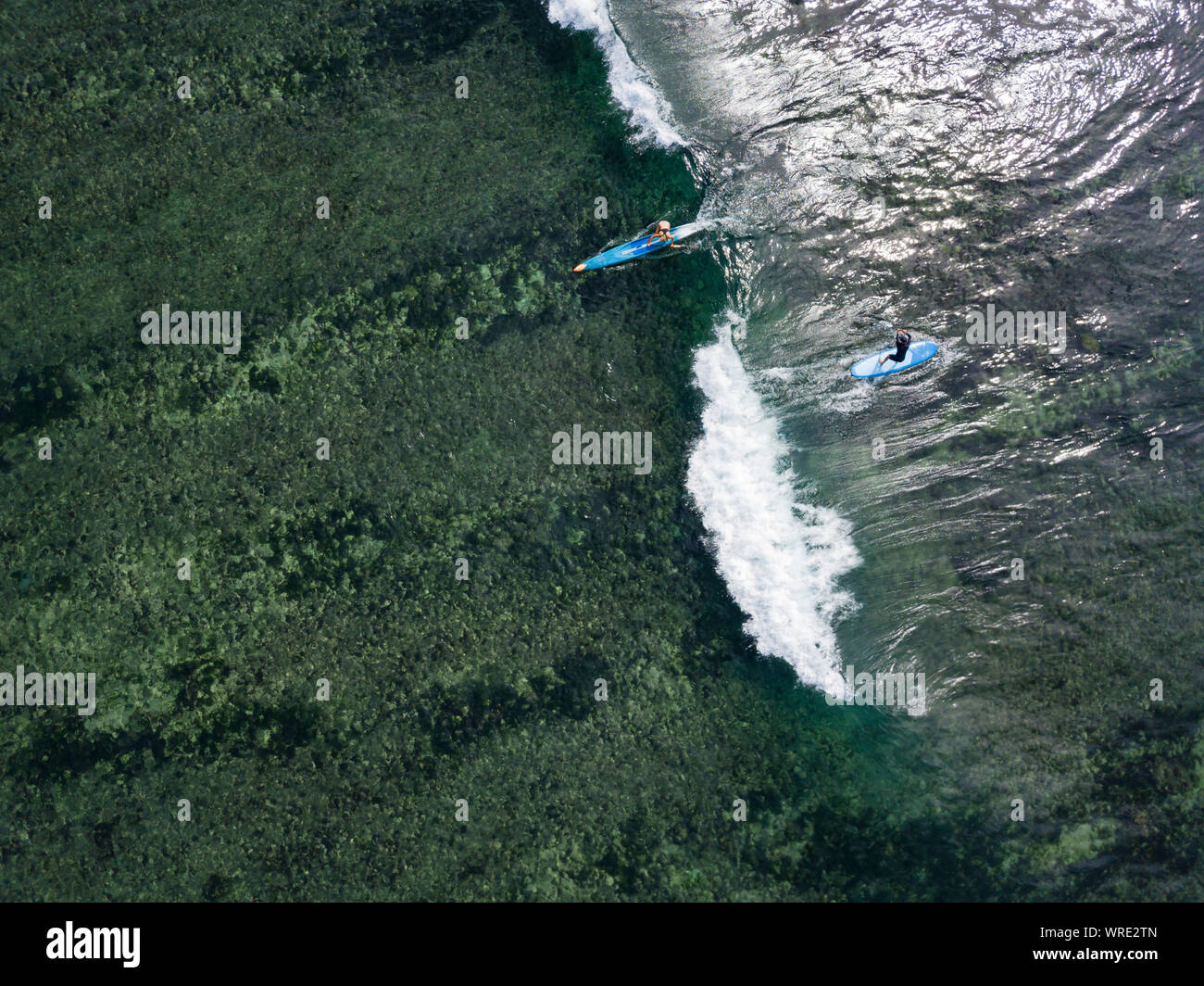 Aerial view of sup surfers Stock Photo - Alamy