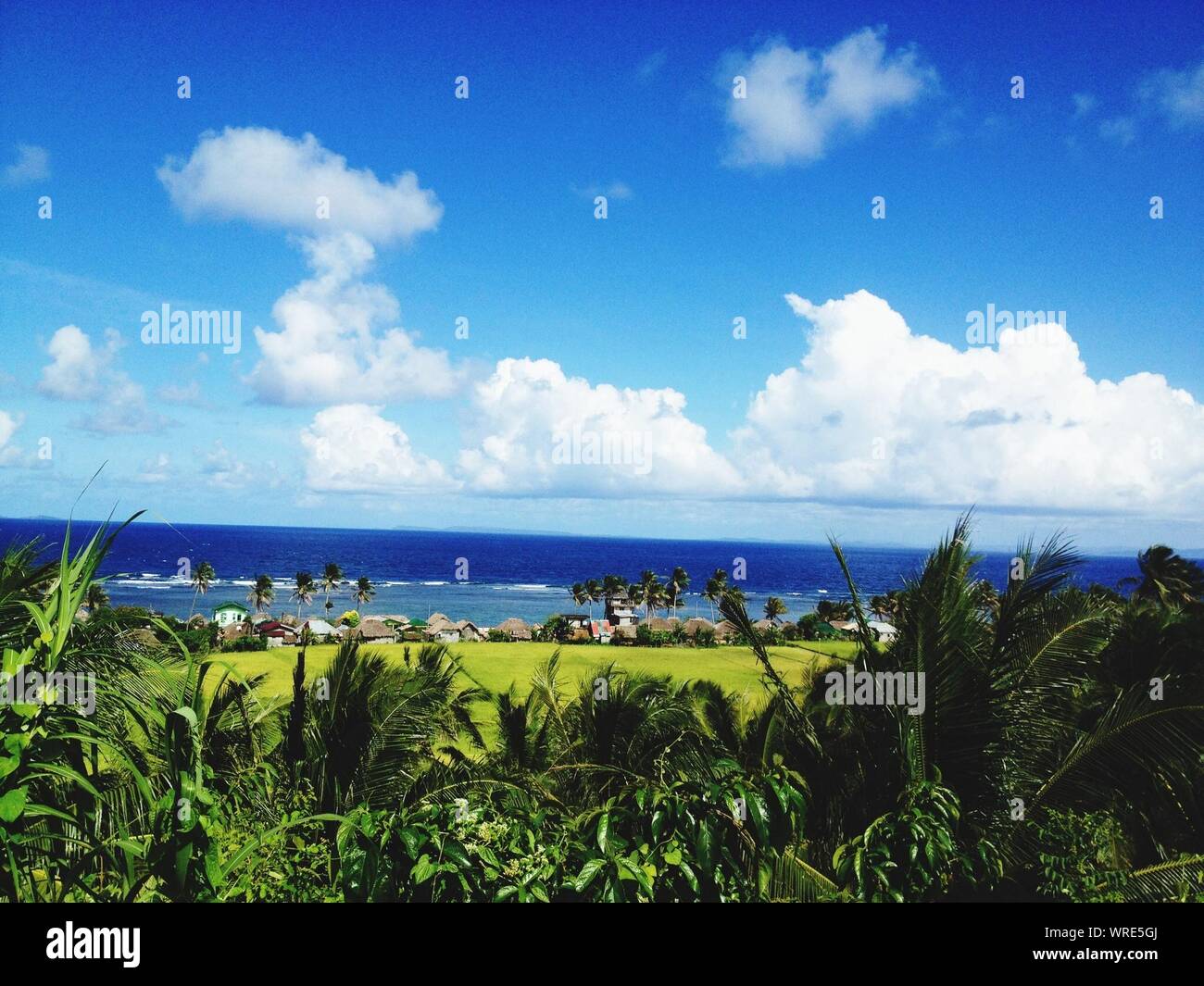 Scenic View Of Blue Sea By Park Against Sky Stock Photo