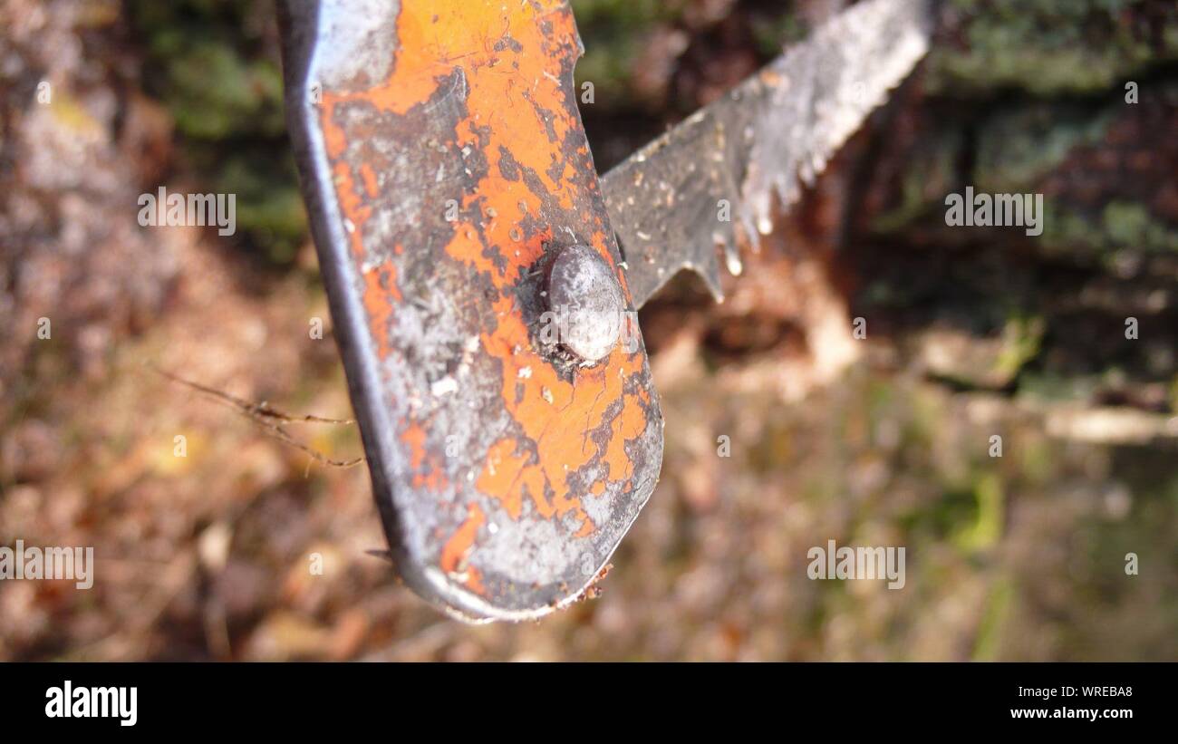 Hand stuck hires stock photography and images Alamy