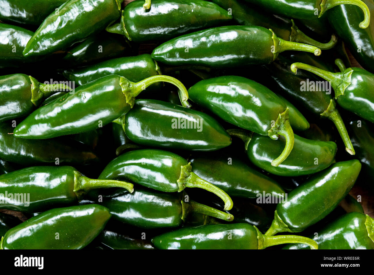 Heap of organic jalapeno peppers Stock Photo